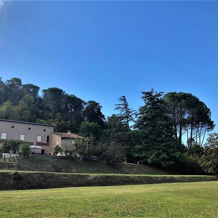 Villa Viola Lucca Luaran gambar